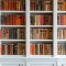 Книжные аллеи в центре Петербурга