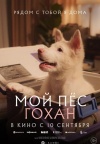 Мой пёс Гохан Мой пёс Гохан